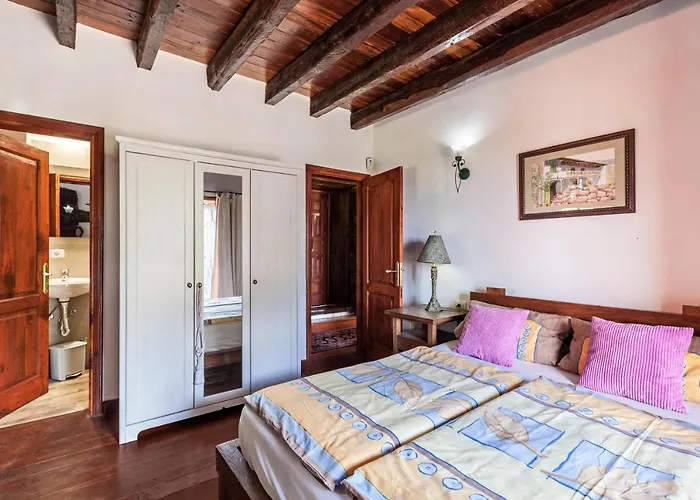 Vinedos 타코론테